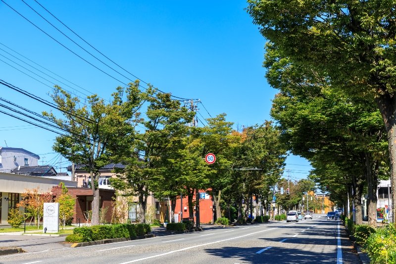 利便性と落ち着いた住み心地が両立する、富山市安野屋エリアの住環境と子育て環境をレポート！